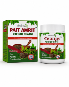 Pait Amrit Pachak Chatni (2pc).